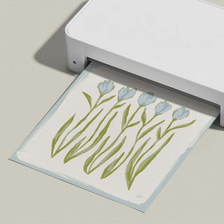 Tulip Quartet No. 4 floral art print, shown freshly printed.
