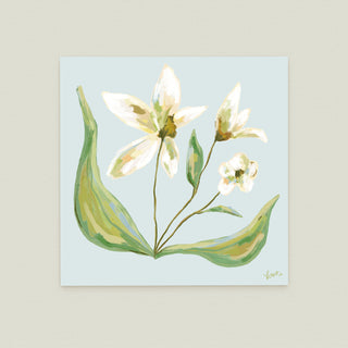 Field Notes Spring No. 2: white flowers with green leaves against a light blue background.