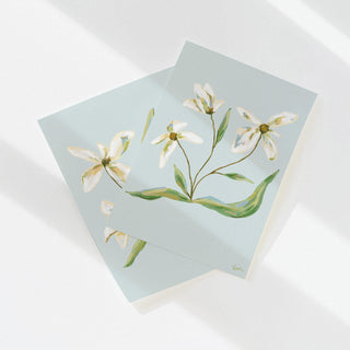 Field Notes Spring, set of four floral art prints.