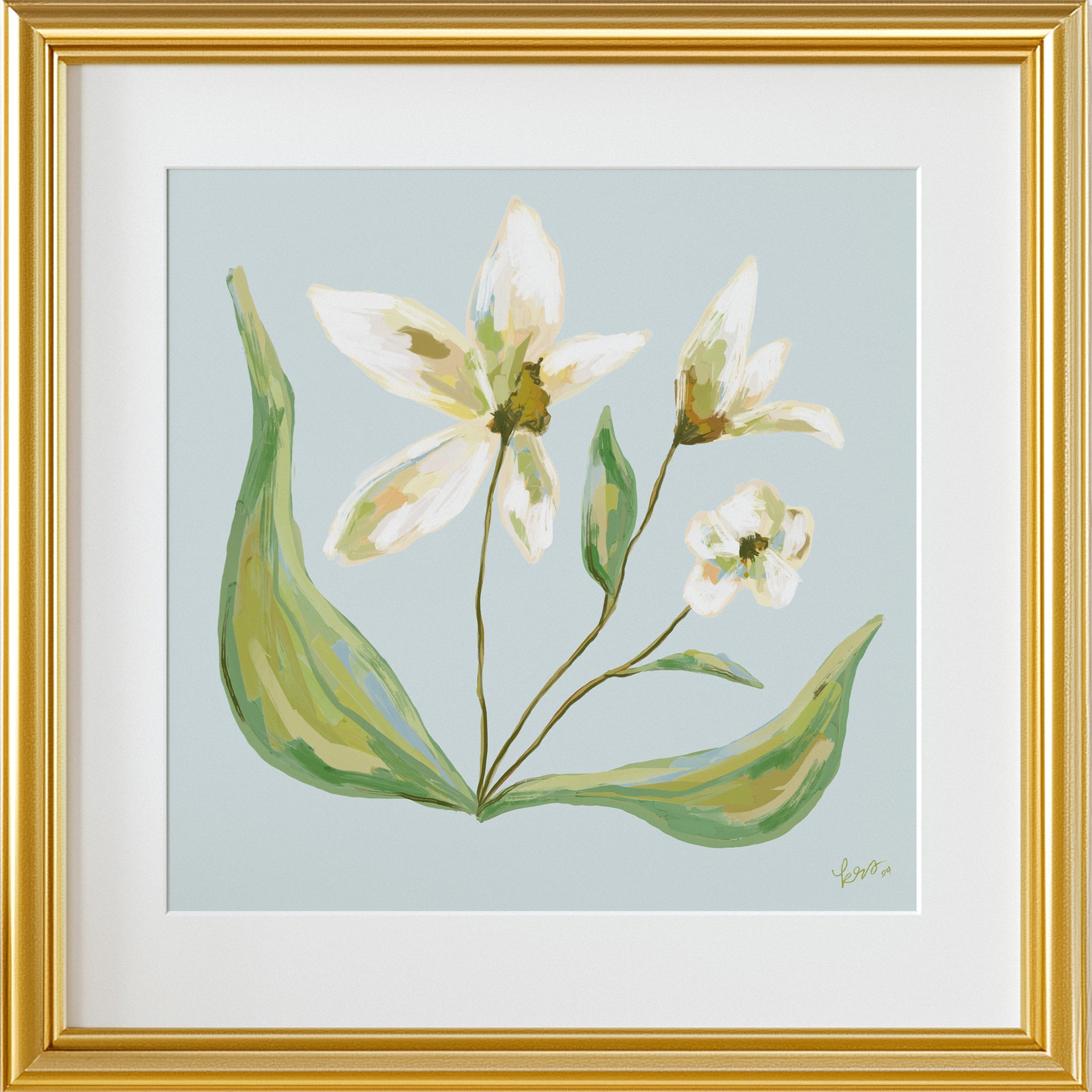 Charlotte Series – No 2