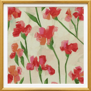 Cardinal Carnations No. 02