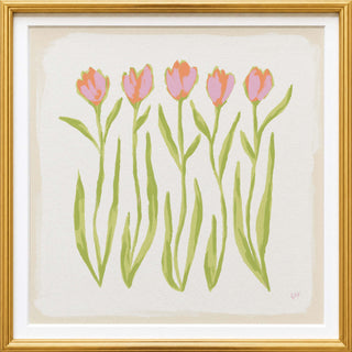 Tulip Quartet · Pink