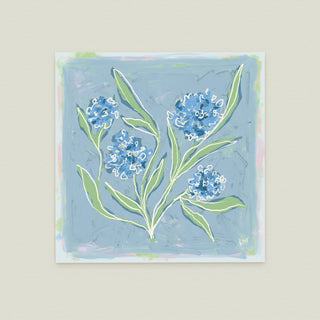 Hydrangea Study No. 7: a blue background with white flowers and green leaves.