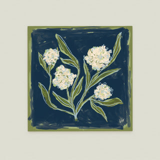 Hydrangea Study No. 6: a dark blue background with white flowers and green leaves.