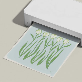 Tulip Quartet No. 2 floral art print, shown freshly printed.